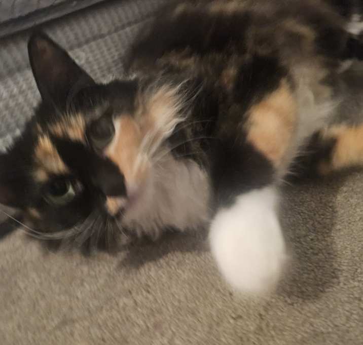 Photo of JoJo