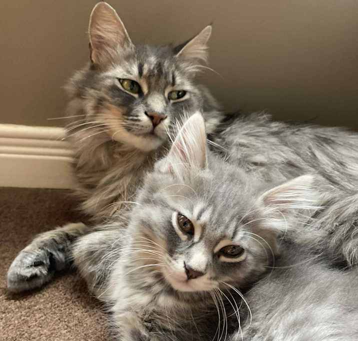 Photo of Mia & Donna