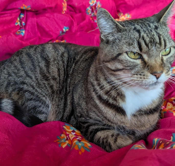 Photo of GiGi