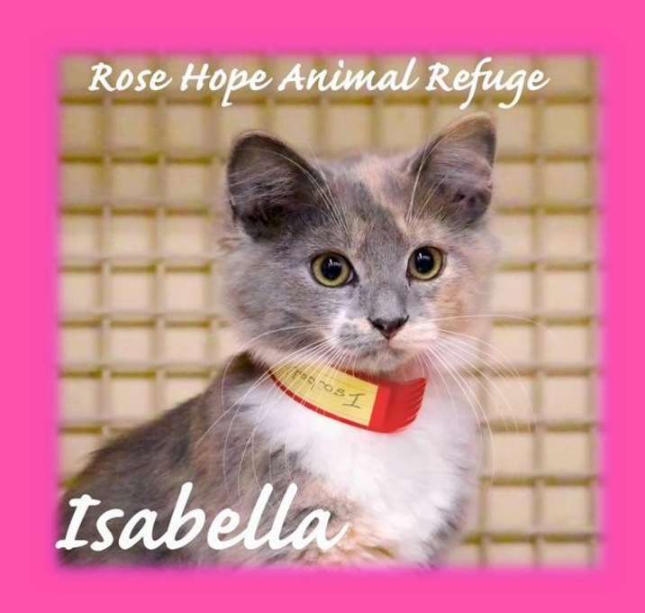 Photo of Isabella