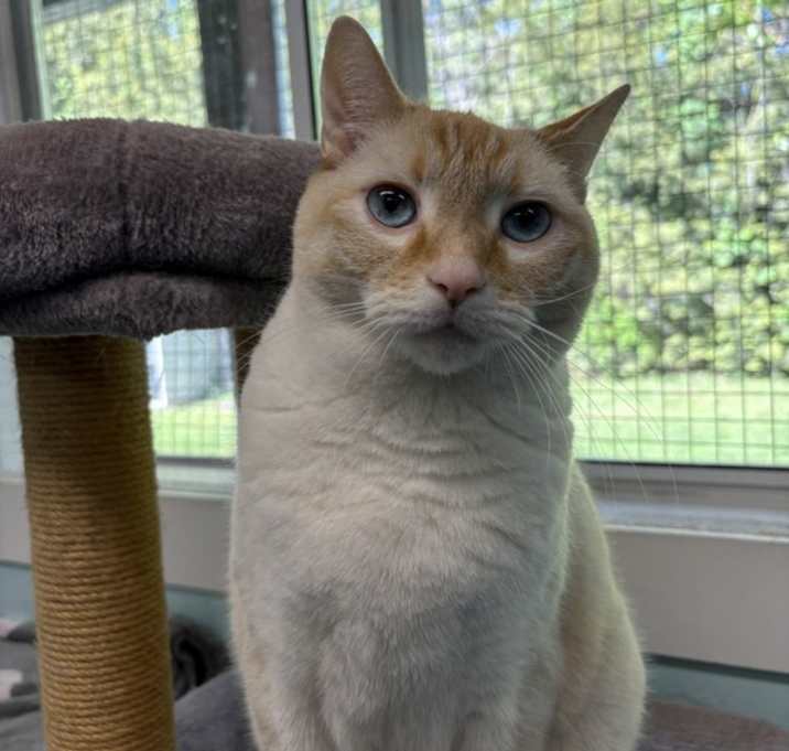 Photo of Tony (bonded To Ducky)
