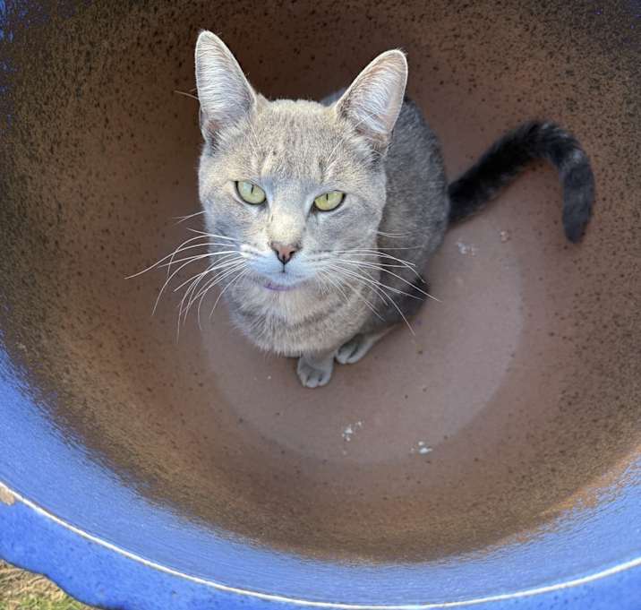 Photo of Vinny