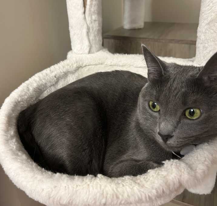 Photo of Rosie
