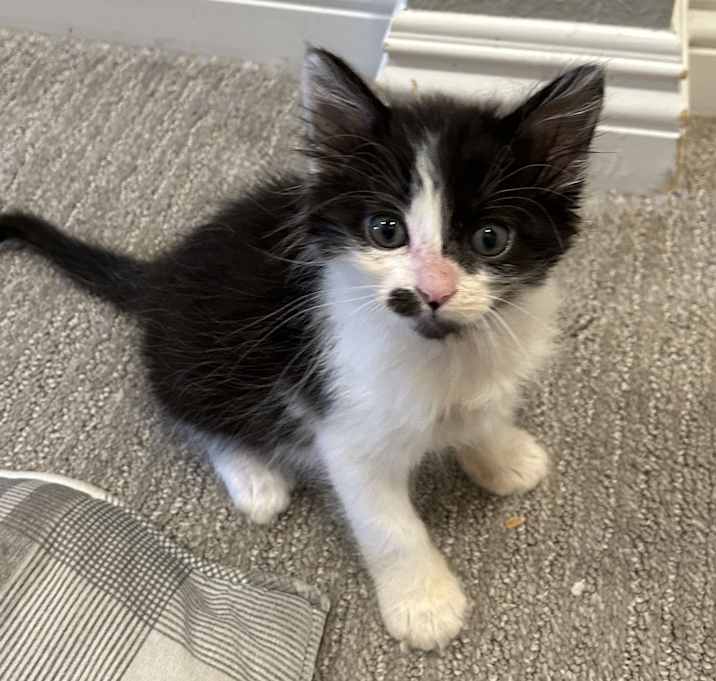 Photo of Bobby