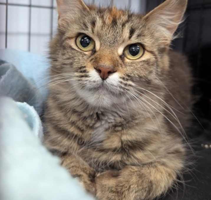 Photo of Fleur