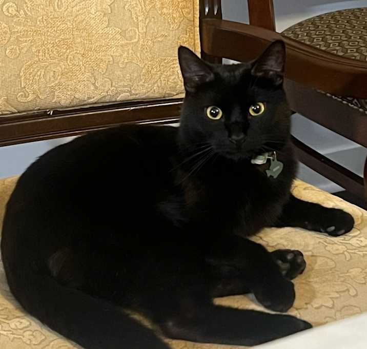 Photo of Bruno