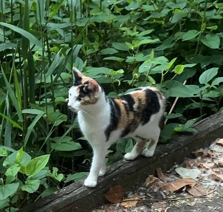Photo of Darla