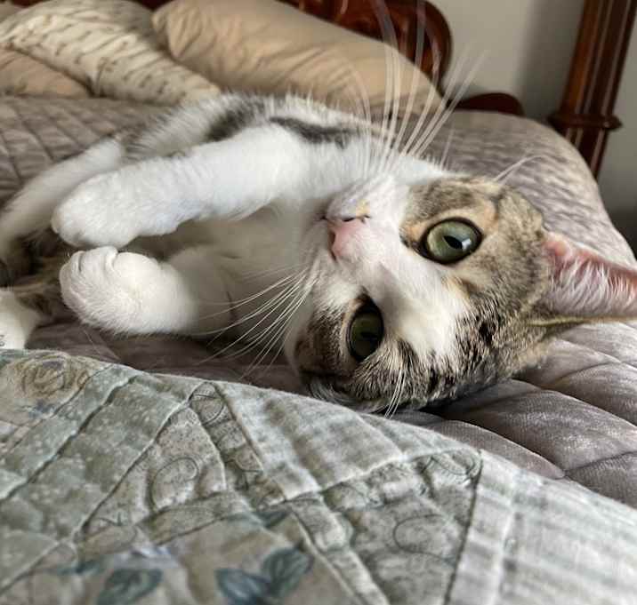 Photo of Phoebe