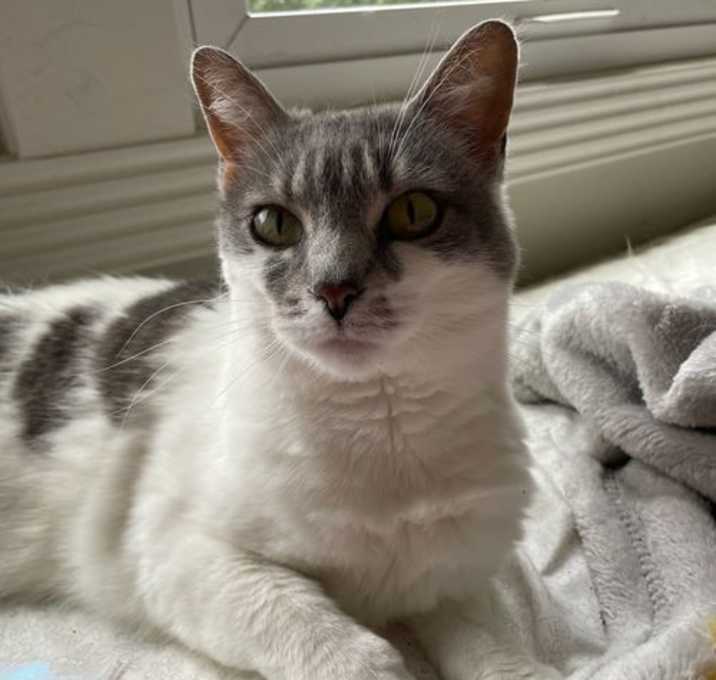 Photo of Charlie