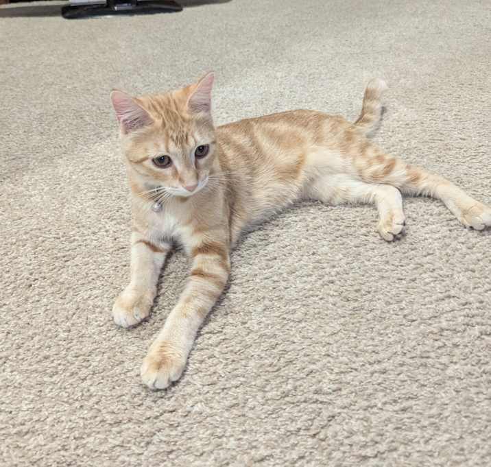 Photo of Charlie