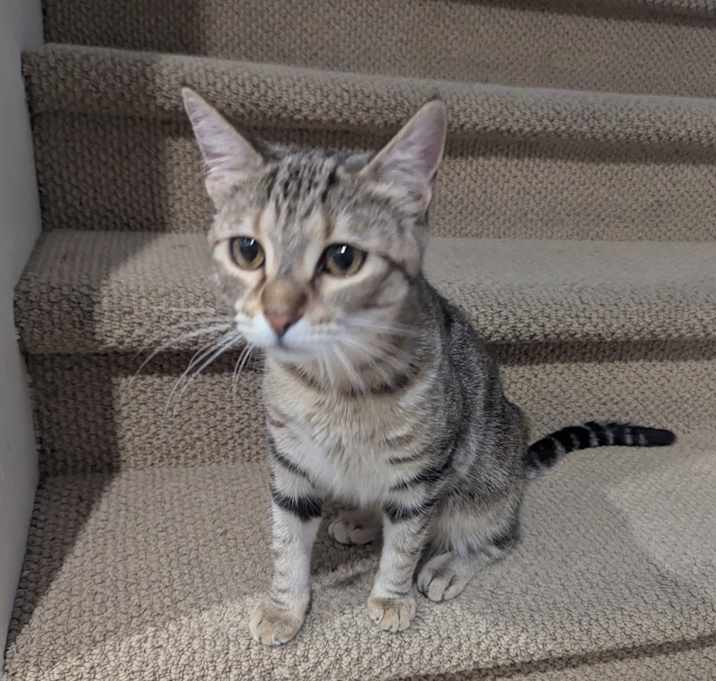 Photo of Sabrina