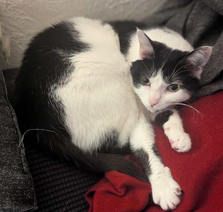 Photo of Minnie