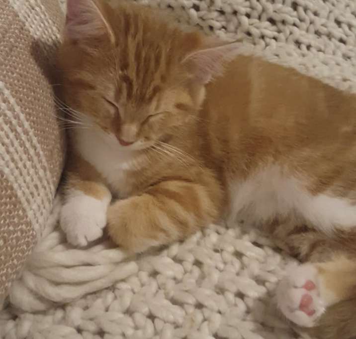 Photo of Sophie