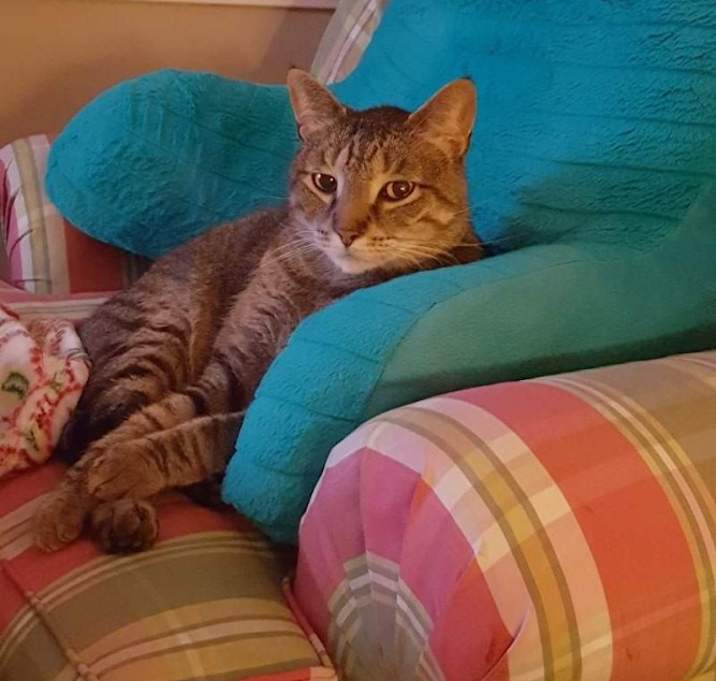 Photo of Tom