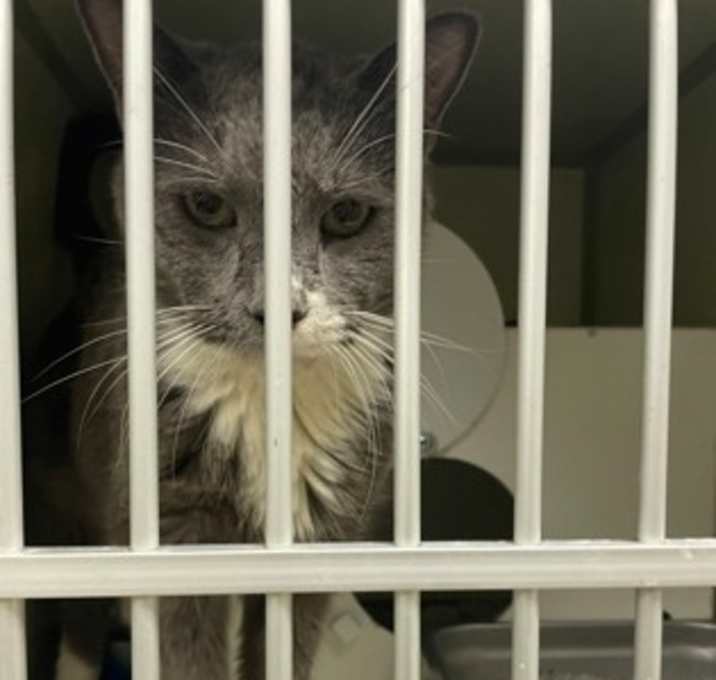 Photo of Levi (Special Needs)