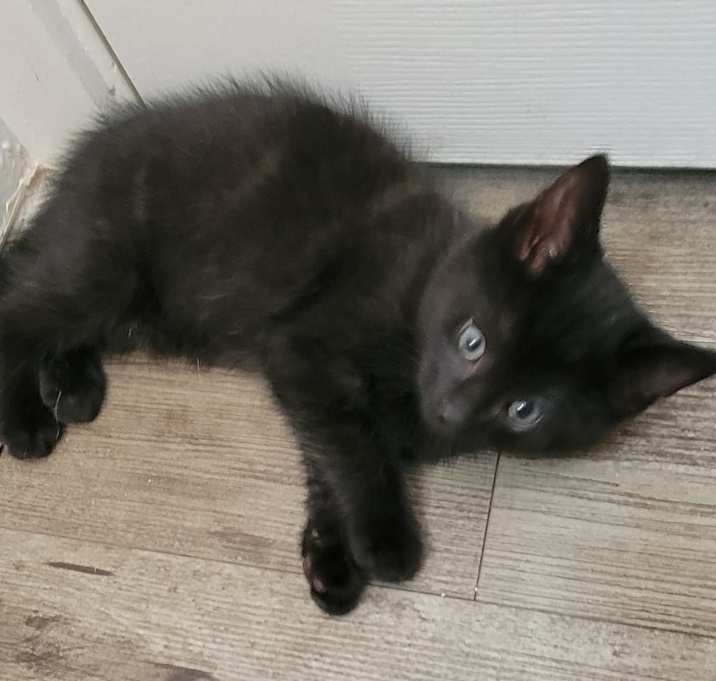 Photo of Dutchess