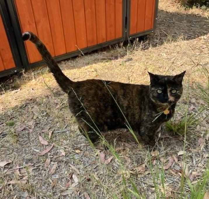 Photo of Ada