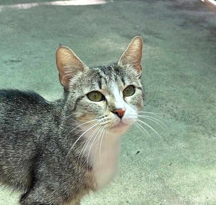 Photo of Bougee