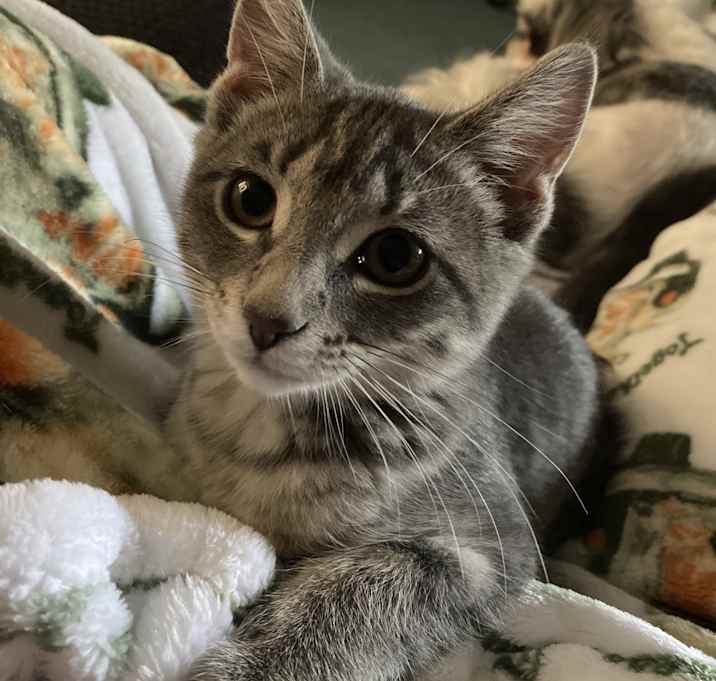 Photo of Ashe