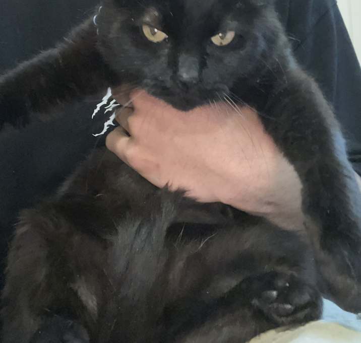 Photo of Omen