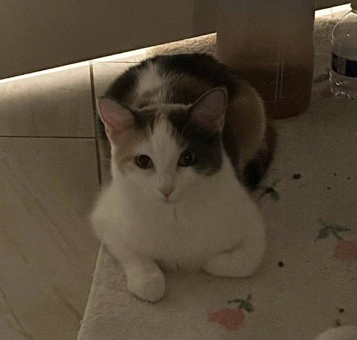 Photo of Zuzu