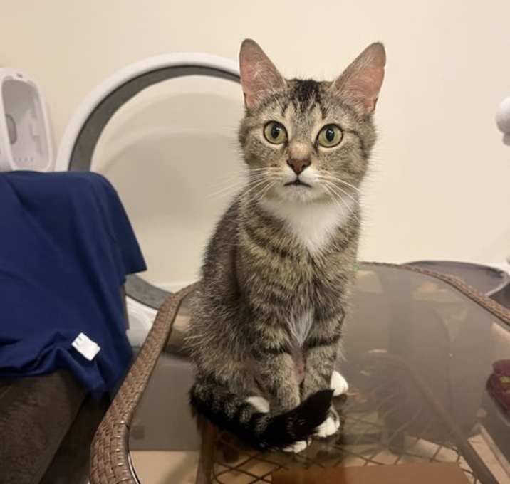 Photo of Wanda