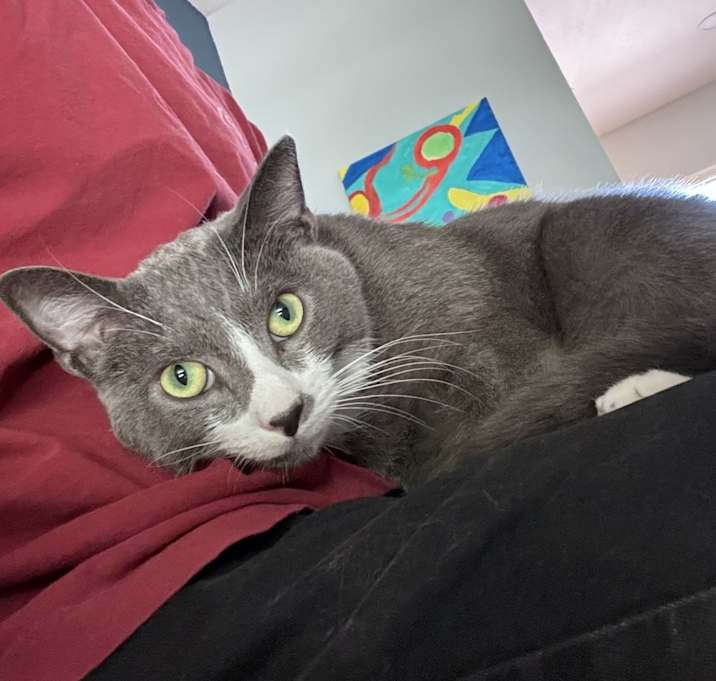 Photo of Charlie
