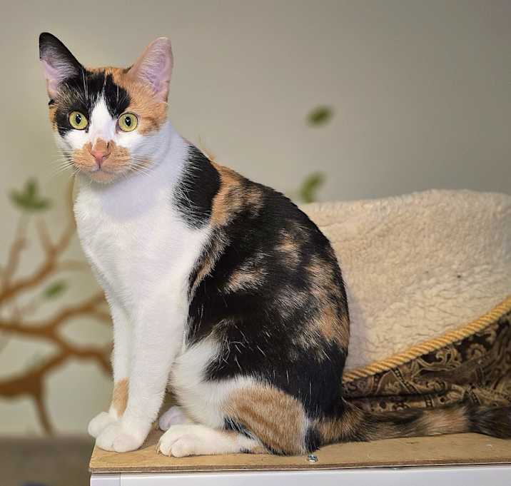 Photo of Doja