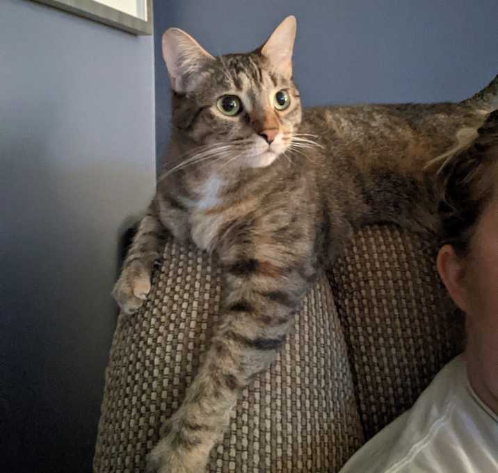 Photo of Sally