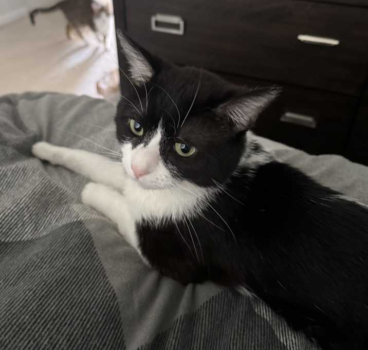 Photo of Luca