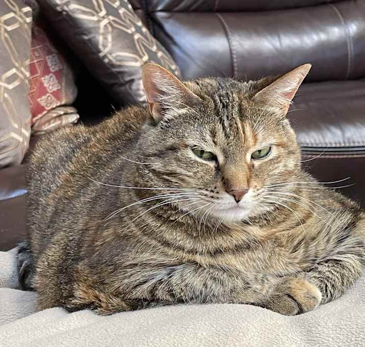 Photo of Ella