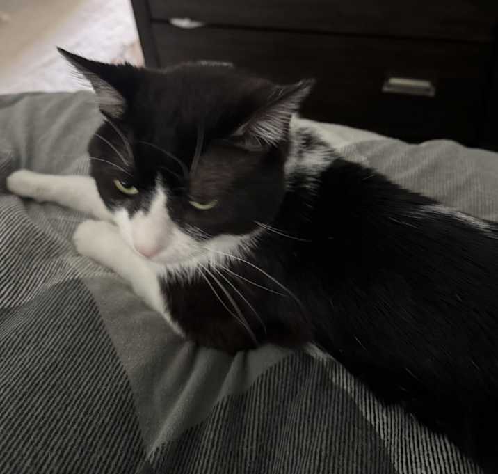 Photo of Luca