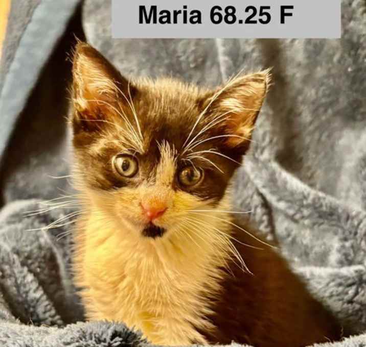Photo of Foster Maria