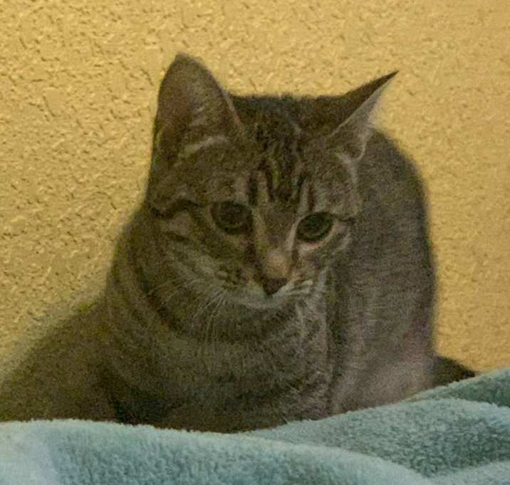 Photo of Lilly