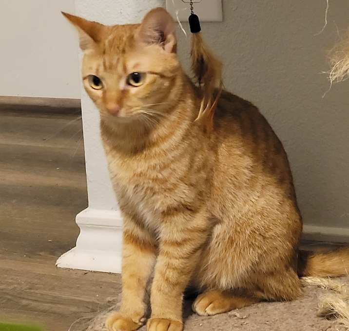 Photo of Jasmine