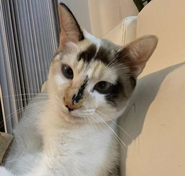Photo of Mimi