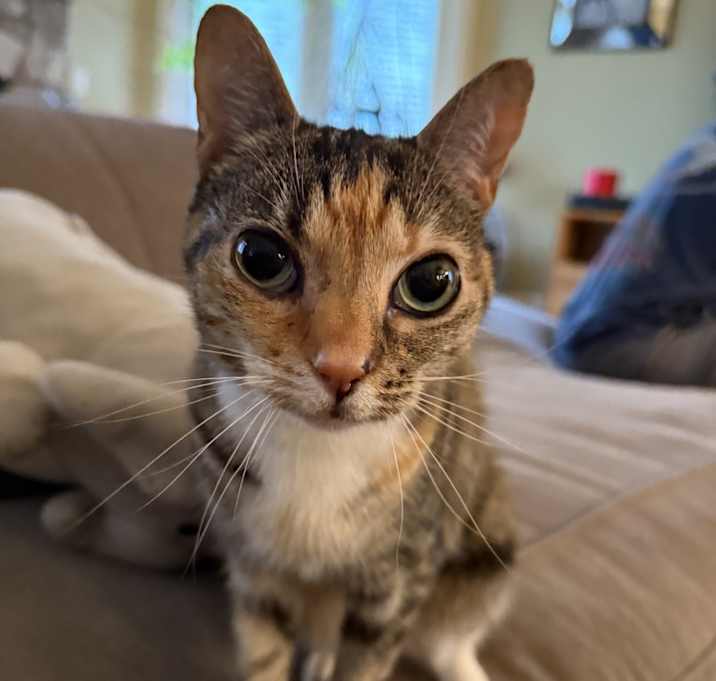 Photo of Marcie