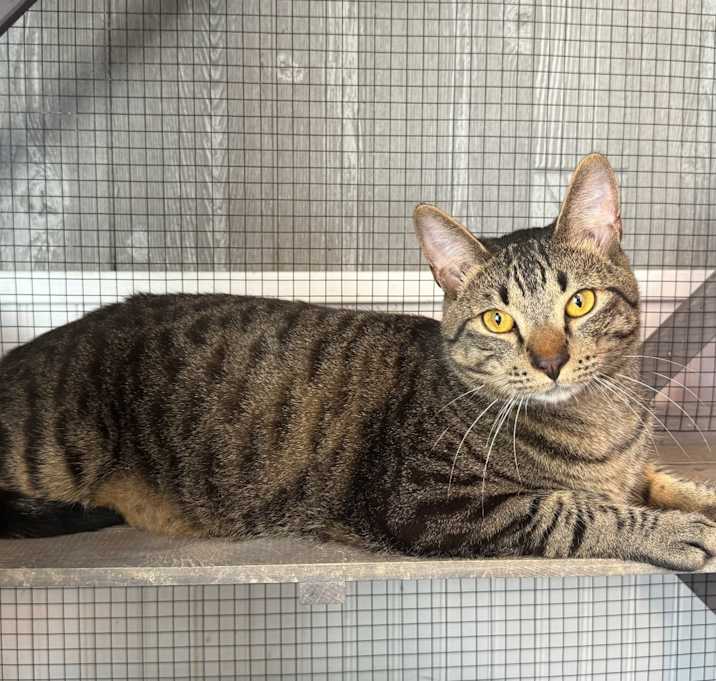 Photo of Sandy