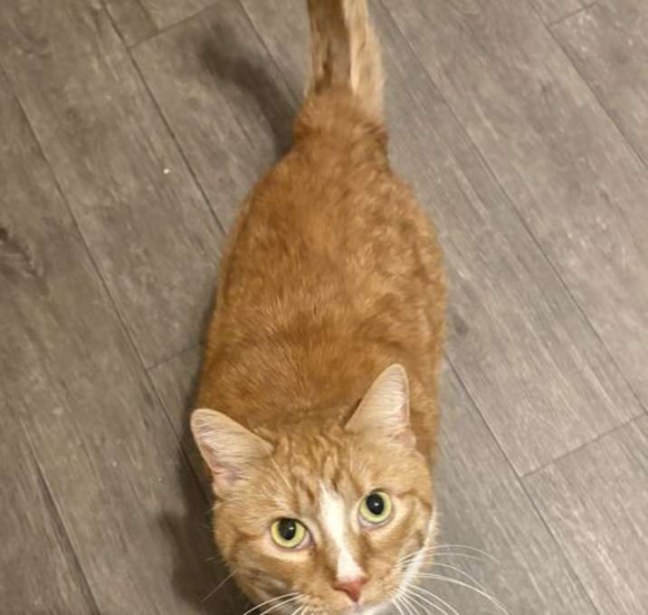 Photo of Leo