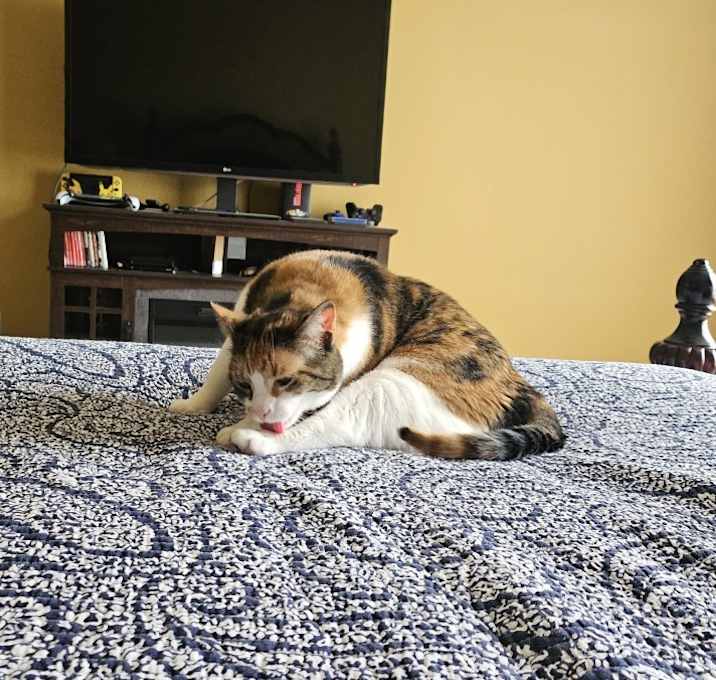 Photo of Lily