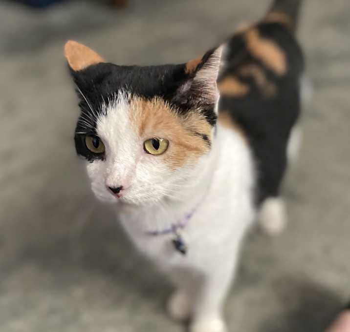 Photo of Hazel