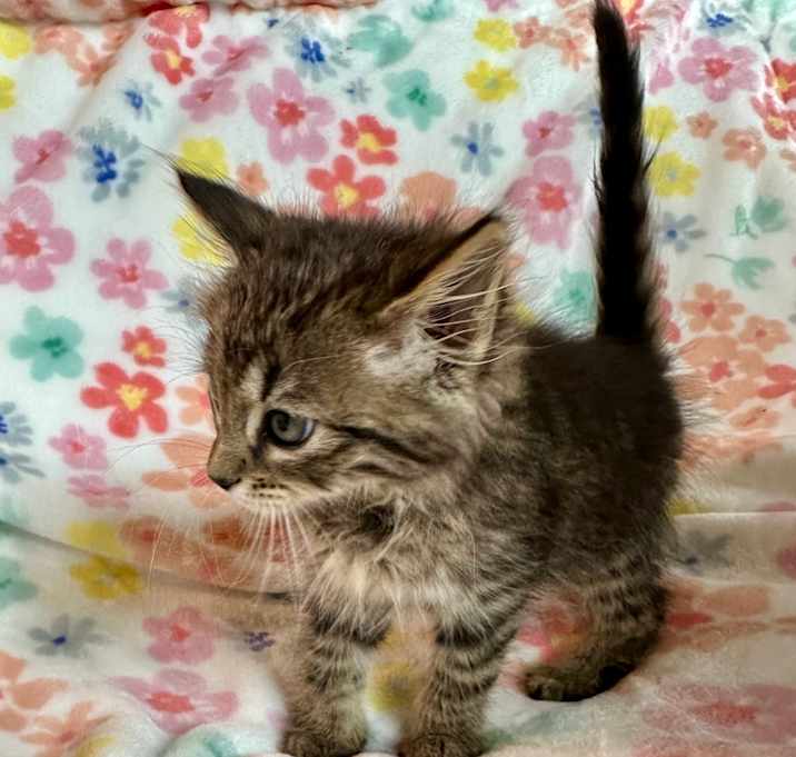 Photo of Zora