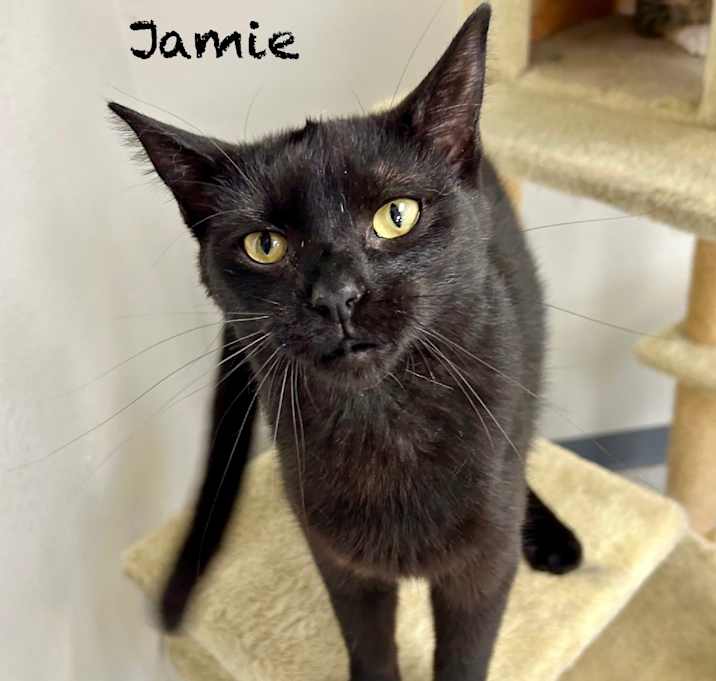 Photo of Jamie