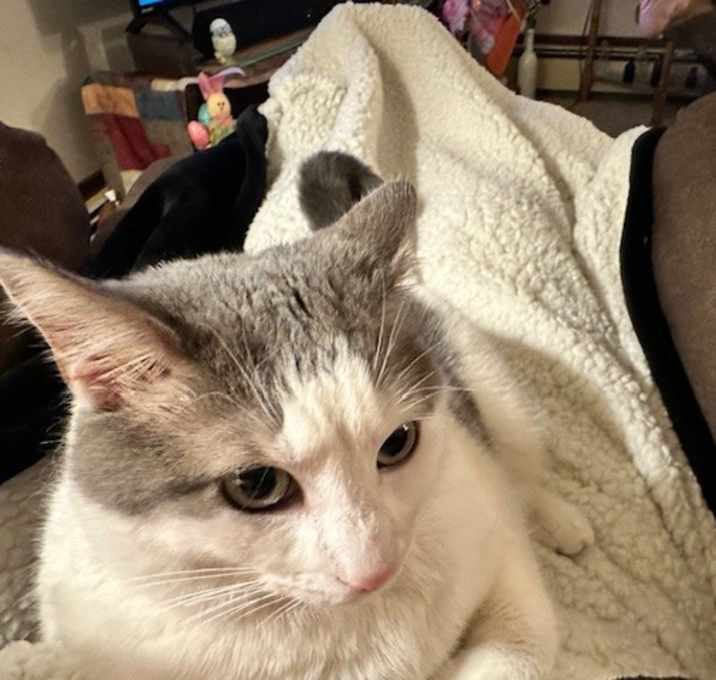 Photo of Turbo