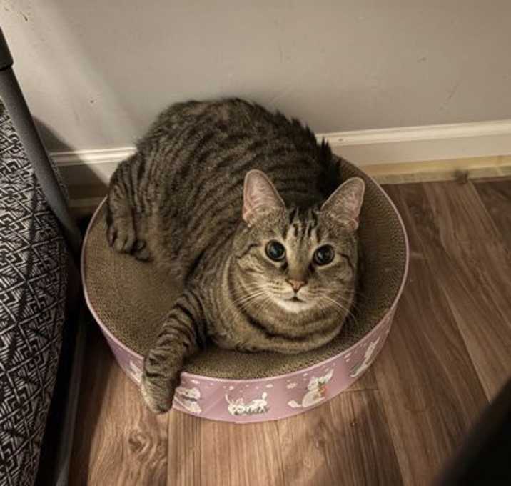 Photo of Emily
