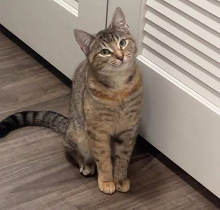 Photo of eepy