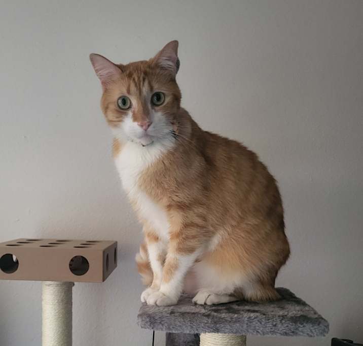 Photo of Fisher