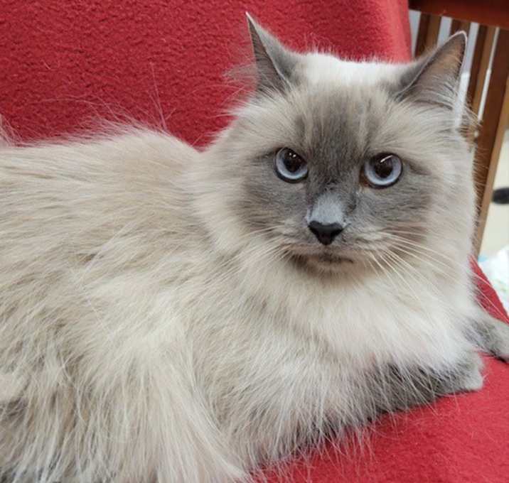 Photo of Elsa