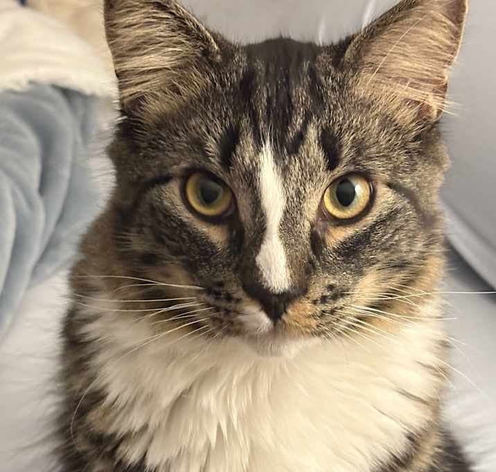 Photo of Kiko