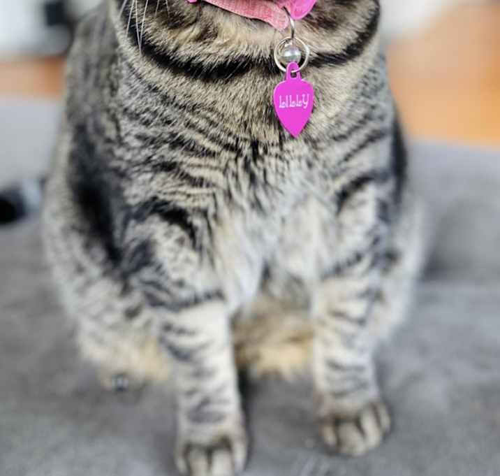 Photo of Lilly